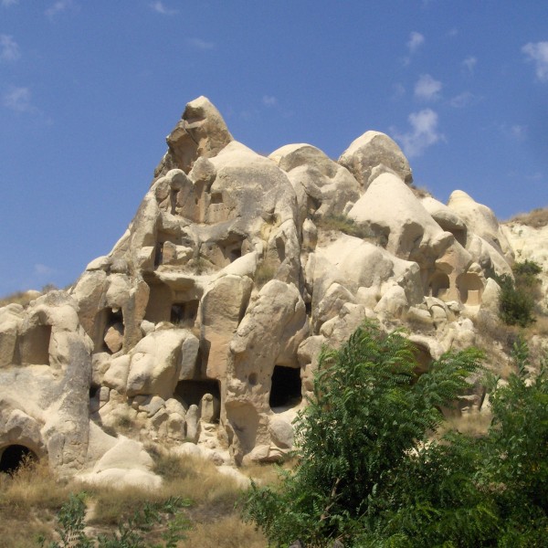 Thumbnail for Scope of the website